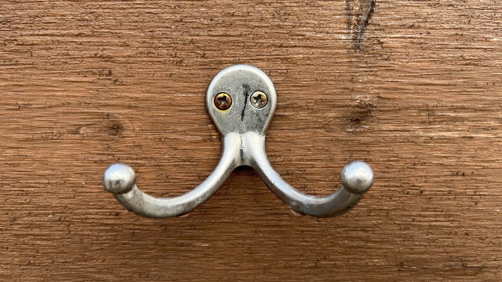 Double Coat Hook